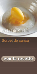 Sorbet Carica